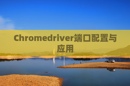 Chromedriver端口配置与应用