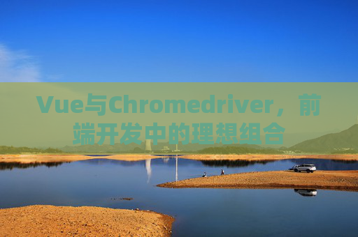 Vue与Chromedriver，前端开发中的理想组合