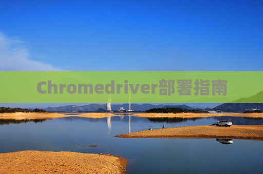 Chromedriver部署指南